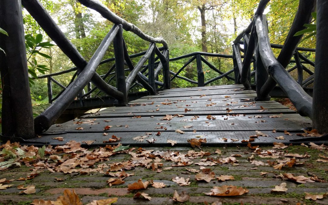 Hoe moet je verder als je leven verandert?