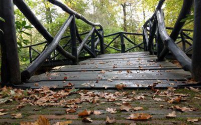 Hoe moet je verder als je leven verandert?
